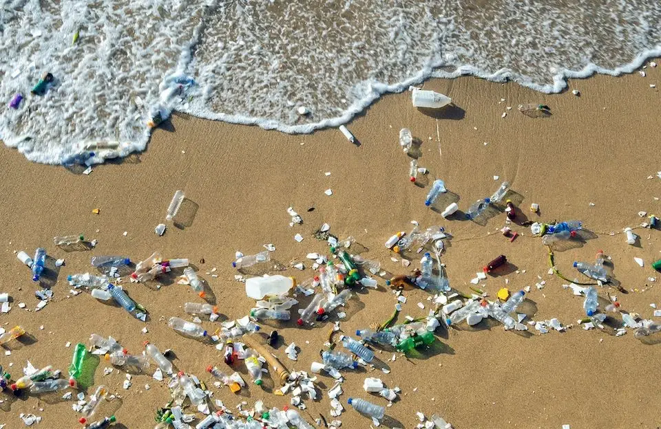 You are currently viewing Vivre sans plastique au quotidien