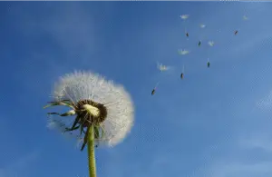 Lire la suite à propos de l’article Qualité et pollution de l’air